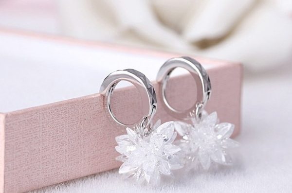 Fashion Pure Beauty Ice 925 Silver Earrings Hypoallergenic Non-Fading Earrings