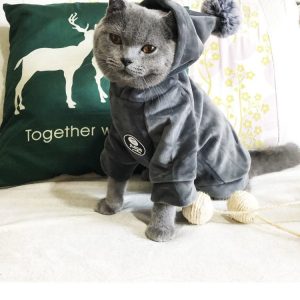 Pet Cat Clothes Autumn And Winter Clothes Trend Sweater