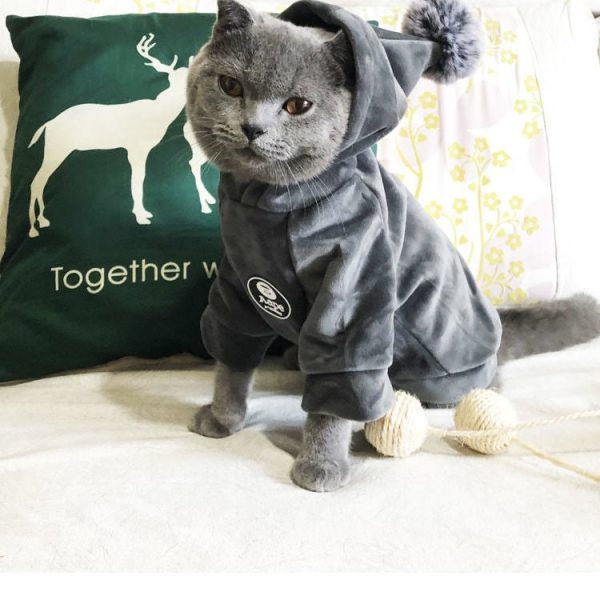 Pet Cat Clothes Autumn And Winter Clothes Trend Sweater