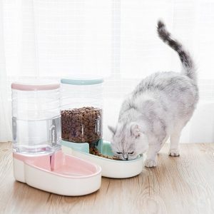 Pet Dog Automatic Feeder Dog Automatic Drinking Fountain