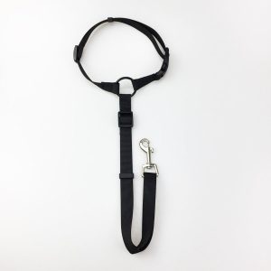 Pet Safety Leash