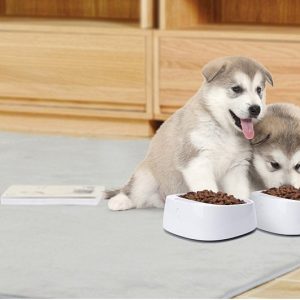 Pet Weighing Dog Food Bowl