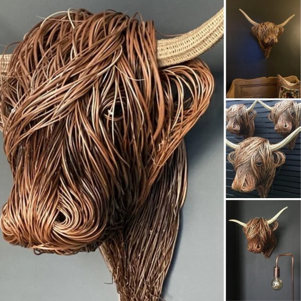 Plateau Cow | Tangled Hair Style